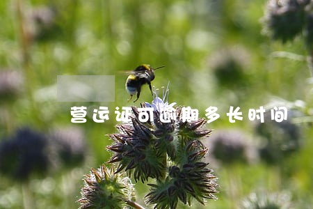 营运证可逾期多长时间