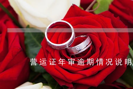 营运证年审逾期情况说明 营运证年审逾期情况说明