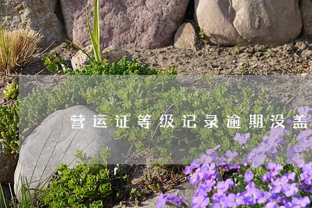 营运证等级记录逾期没盖章