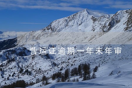 营运证逾期一年未年审