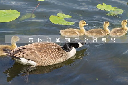 营运证逾期三个月后果 营运证逾期三个月后果