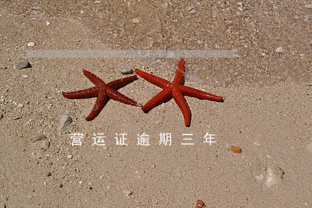 营运证逾期三年 营运证逾期三年