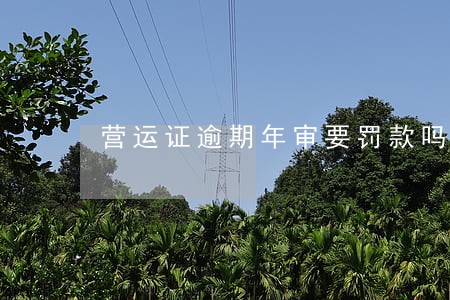 营运证逾期年审要罚款吗 营运证逾期年审要罚款吗