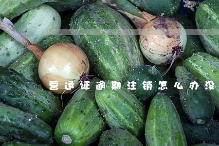 营运证逾期注销怎么办没公告 营运证逾期注销怎么办没公告