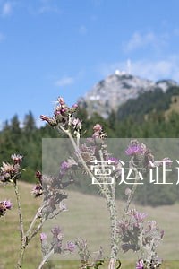 营运证逾期要罚款多少钱 营运证逾期要罚款多少钱