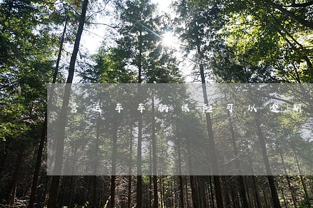 营运车车辆保险可以逾期多久 营运车车辆保险可以逾期多久
