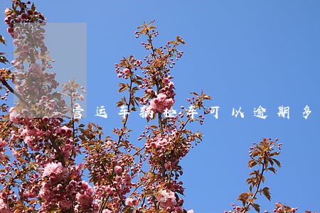 营运车辆检车可以逾期多长时间 营运车辆检车可以逾期多长时间