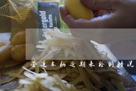 营运车辆逾期未检的情况说明