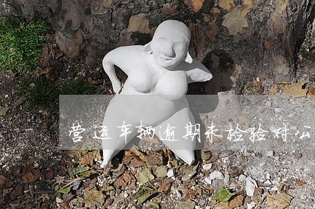 营运车辆逾期未检验对公司的处罚 营运车辆逾期未检验对公司的处罚