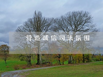 营造诚信司法氛围 营造诚信司法氛围