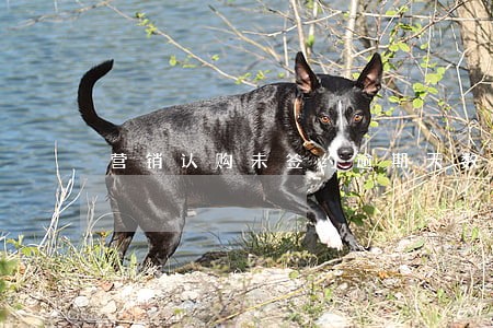 营销认购未签约逾期天数怎么计算 营销认购未签约逾期天数怎么计算