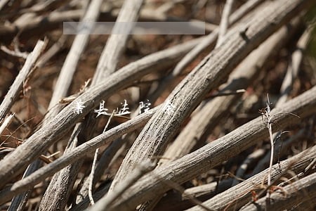 萧县法院余 萧县法院余