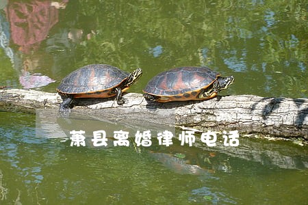 萧县离婚律师电话 萧县离婚律师电话