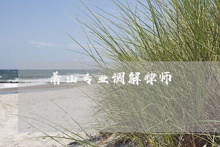 萧山专业调解律师 萧山专业调解律师