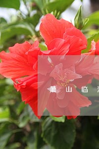 萧山临浦法院电话号码 萧山临浦法院电话号码