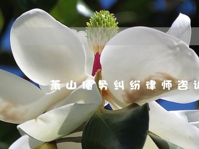 萧山债务纠纷律师咨询费 萧山债务纠纷律师咨询费