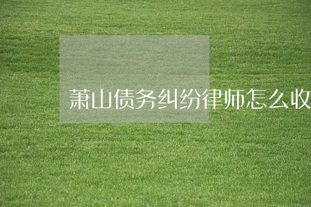 萧山债务纠纷律师怎么收费 萧山债务纠纷律师怎么收费
