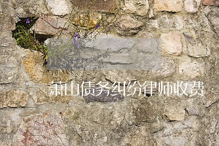 萧山债务纠纷律师收费 萧山债务纠纷律师收费
