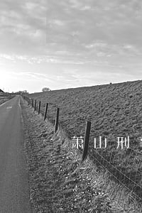 萧山刑事律师甘海滨 萧山刑事律师甘海滨