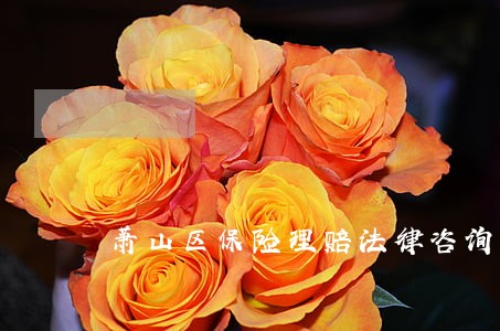 萧山区保险理赔法律咨询热线