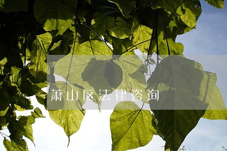萧山区法律咨询 萧山区法律咨询