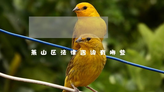 萧山区法律咨询有哪些 萧山区法律咨询有哪些