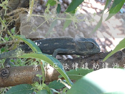 萧山区法律援助律师在线咨询 萧山区法律援助律师在线咨询