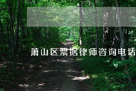 萧山区票据律师咨询电话 萧山区票据律师咨询电话