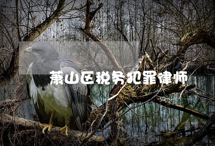 萧山区税务犯罪律师