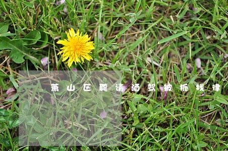 萧山区聘请酒驾被抓找律师