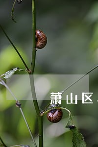 萧山区车祸案律师咨询 萧山区车祸案律师咨询