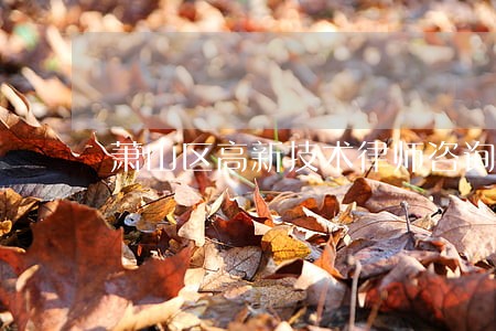 萧山区高新技术律师咨询电话