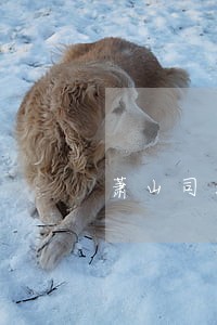 萧山司法调解委员会 萧山司法调解委员会