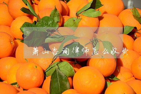 萧山咨询律师怎么收费 萧山咨询律师怎么收费