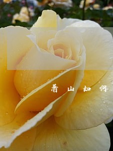 萧山如何寻求法律援助 萧山如何寻求法律援助