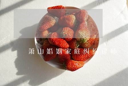 萧山婚姻家庭纠纷律师 萧山婚姻家庭纠纷律师