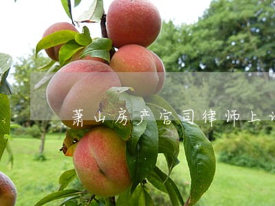 萧山房产官司律师上诉 萧山房产官司律师上诉
