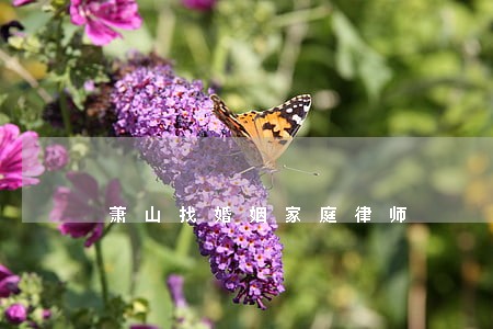 萧山找婚姻家庭律师 萧山找婚姻家庭律师