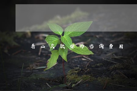 萧山欠款律师咨询费用 萧山欠款律师咨询费用