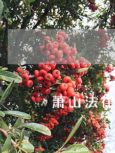 萧山法律咨询 萧山法律咨询