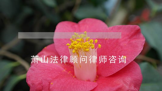 萧山法律顾问律师咨询 萧山法律顾问律师咨询