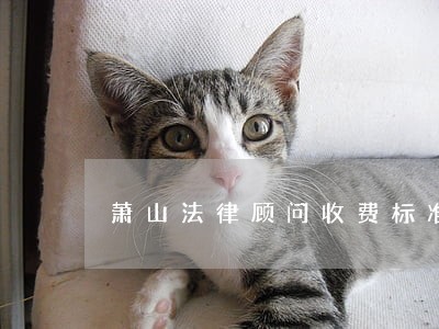 萧山法律顾问收费标准 萧山法律顾问收费标准