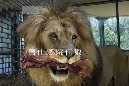 萧山法院何敏 萧山法院何敏