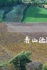 萧山法院审判委员公示