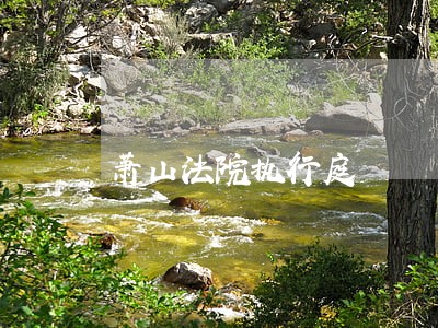 萧山法院执行庭