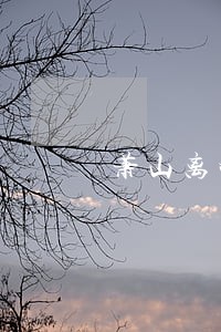 萧山离婚律师事务所 萧山离婚律师事务所