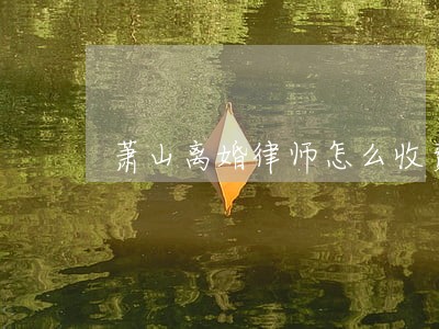 萧山离婚律师怎么收费 萧山离婚律师怎么收费