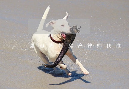 萧山离婚房产律师找谁 萧山离婚房产律师找谁