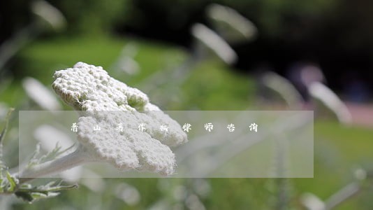 萧山著作权律师咨询 萧山著作权律师咨询