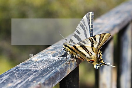 萧山请律师的费用 萧山请律师的费用
